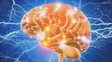 How to Boost Your Acetylcholine for Super Brain Power